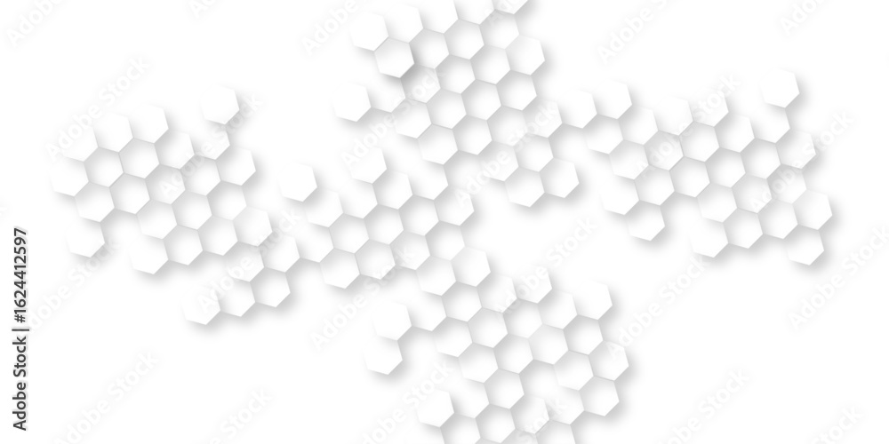 Canvas Prints abstract geometric white and gray banner design with hexagons, abstract soft white hexagon concept b