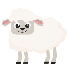 Sheep Illustration