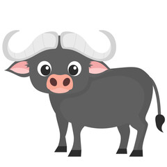 Buffalo Illustration
