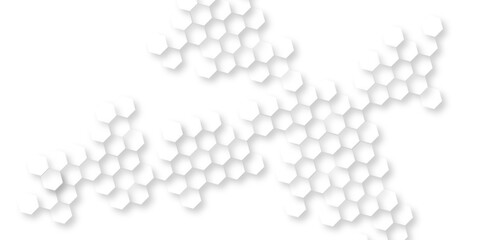 abstract geometric white and gray banner design with hexagons, abstract soft white hexagon concept background, geometric pattern with crosses, stripes, lines. Seamless vector background.