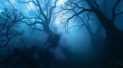 misty morning in the woods