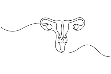 Minimalist one line drawing of a human uterus with fallopian tubes. Modern medical anatomy concept