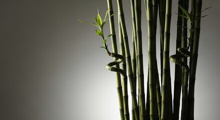 Obraz premium Green Bamboo Stalks and Leaves on a Neutral Background