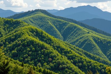 Fototapeta premium green mountain slopes covered in trees absorbing carbon while preventing landslides and regulating regional temperatures no punctuation marks or strange characters