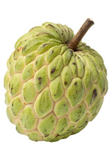 Obraz premium sugar apple with leaf