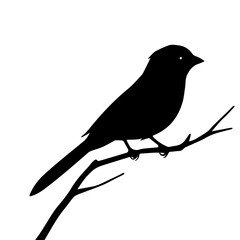 Minimalist graphic silhouette of a songbird resting on a tree branch. Simple black and white avian wildlife icon.