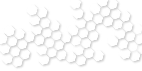 Abstract white vector wallpaper with hexagon grid, panoramic wall of Random shifted white honeycomb hexagon background, hexagon textures with line white light.