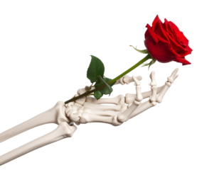 Skeleton hand holding a rose isolated on transparent background