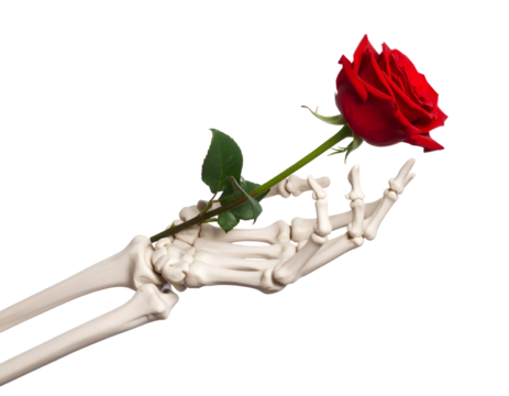 Skeleton hand holding a rose isolated on transparent background