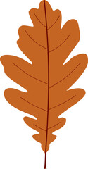 Fototapeta premium Flat Style Oak Leaf Vector Illustration Autumn Element