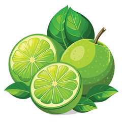 Fresh limes with green leaves, cut slices, and ripe halves on a white background