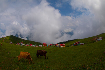 Fototapeta premium Kackar Mountains National Park is the most visited region in Turkiye