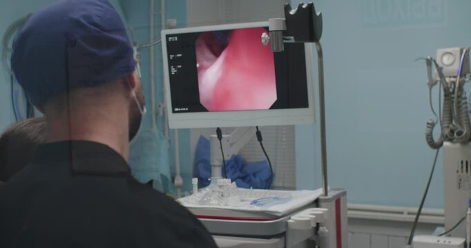 Veterinary doctor performing gastroscopy to a dog using an endoscope, checking internal organs for swallowed foreign object in modern veterinary clinic.