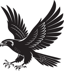 Obraz premium Black eagle in flight with spread wings falcon hawk