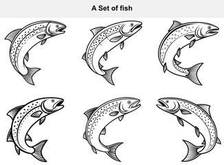 Fototapeta premium A Group of Salmon Fish Jumping in Water