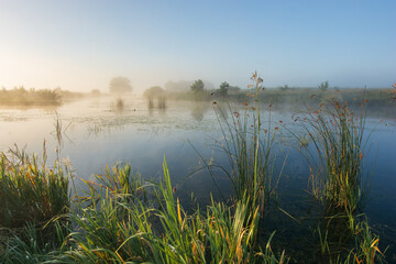 autumn fog on the lake
