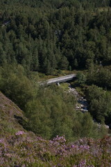 Well-trodden path through mountainous region in Scotland Cairngorms