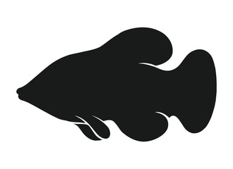 Diverse Animal Kingdom Vector Set art