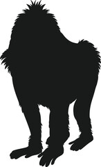 Diverse Animal Kingdom Vector Set art