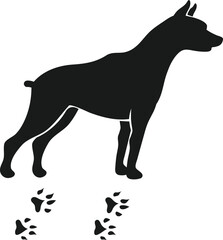 Diverse Animal Kingdom Vector Set art