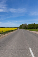 road in a field on one side grows rapeseed, and on the other side grows green grass against a blue sky with clouds