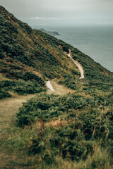 Sunny Woodland Path through Green Hedgerows in the Devon Countryside