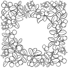 Cranberry Branch with Flowers, Berries and Leaves Outline Frame. Organic natural nutritional healthy food ingredient, vegetarian diet product. Vector isolated for design or decoration.