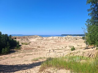 Summer dunes at YYteri Beach, Pori, Finland.