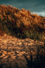 Golden Summer Sunset over Woolacombe Beach, Devon