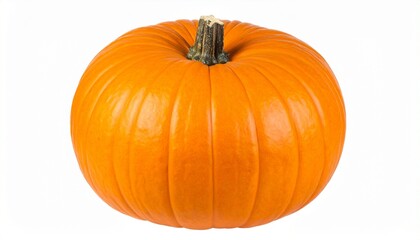Obraz premium pumpkin isolated on white