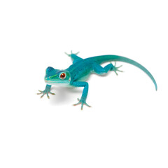 Naklejka premium A vibrant greenish blue lizard with intricate scales and delicate features is centered on a pristine white background