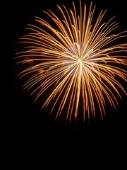 Multicolor Firework Bursts in Night Sky: Explosion Trails and Ember Effects for Global Event Background Designs