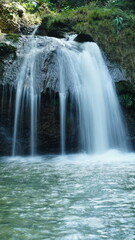 Serene Forest Waterfall