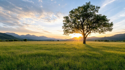 Serene landscape featuring solitary tree vibrant sunset, with mountains background and lush