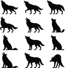 Obraz premium Howling wolves silhouettes wolf animal