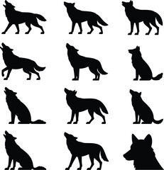 Fototapeta premium Black wolf silhouettes howling and standing animal