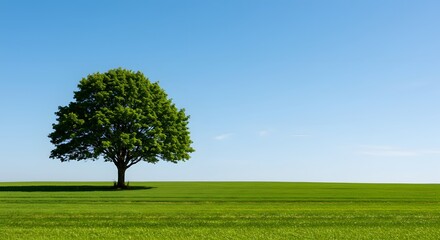 Fototapeta premium Idyllic summer landscape with a single majestic tree in a green meadow, representing peace, environment, and simplicity