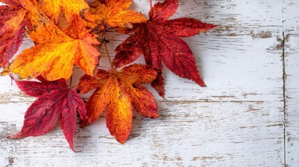 Obraz premium The vibrant autumn leaves on a rustic wooden background.