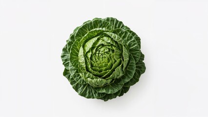 Fresh cabbage displayed against a plain white surface.