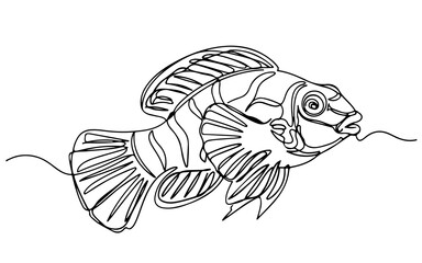 Fototapeta premium mandarin fish, continuous one line art, black and white, vector illustration, isolated on white background