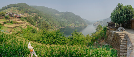 Maizal y vista del embalse del r&iacute;o Mi&ntilde;o desde Pacios, Ribeira Sacra, Lugo, Galicia, Espa&ntilde;a