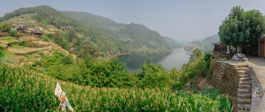 Maizal y vista del embalse del río Miño desde Pacios, Ribeira Sacra, Lugo, Galicia, España
