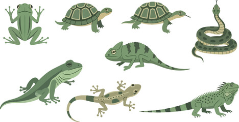 Collection of green reptiles and amphibians