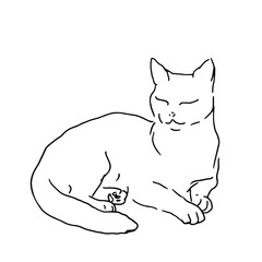 Sleeping cat, black and white ink sketch. Vector illustration. The silhouette is made in a simple linear style. The theme of animals, veterinary clinics, animal feed and for printing
