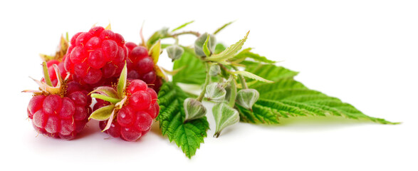 Raspberries and leaves.