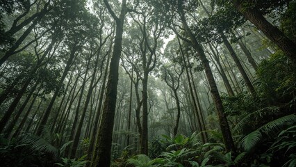 Fototapeta premium Gazing into a lush and dense rainforest environment