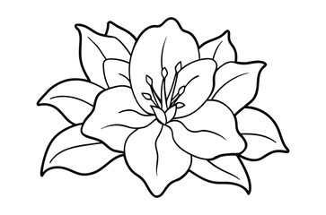 Azalea flower outline coloring book page, flower line art vector drawing illustration