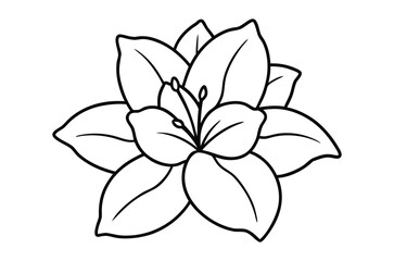 Azalea flower outline coloring book page, flower line art vector drawing illustration