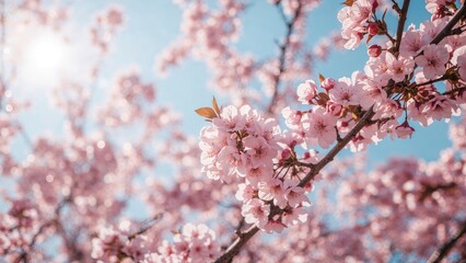 Obraz premium Backdrop of rosy flowers