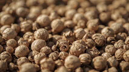 Obraz premium Dry fodder beet seeds setting the scene. Early spring fieldwork preparations.